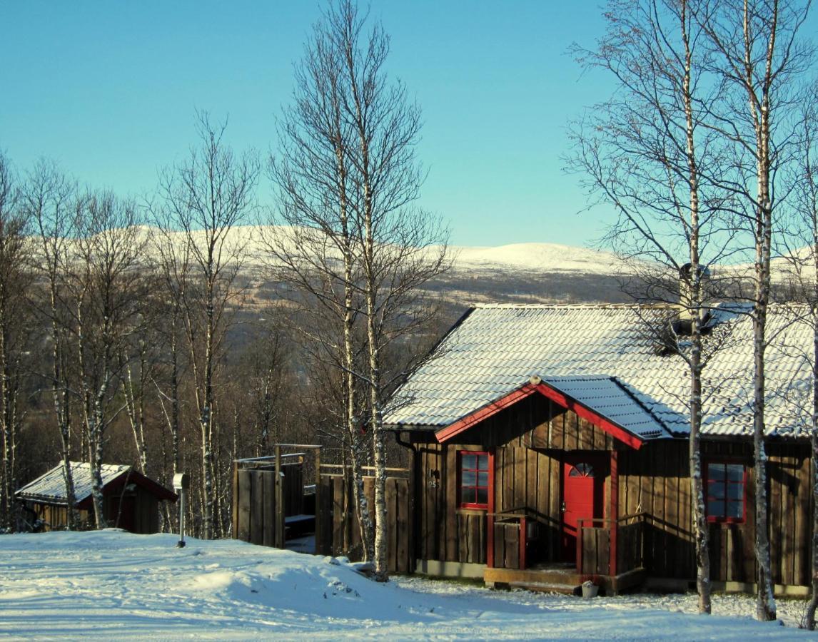 Fjaellfrid Stugby Villa Bruksvallarna Exteriör bild